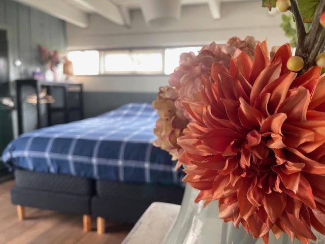 Hank Holiday Cottage De Garage Inn المظهر الخارجي الصورة